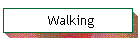 Walking